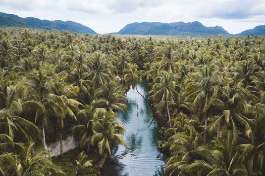 WE PROVE SIARGAO IS ISLAND PARADISE - AleaderGear